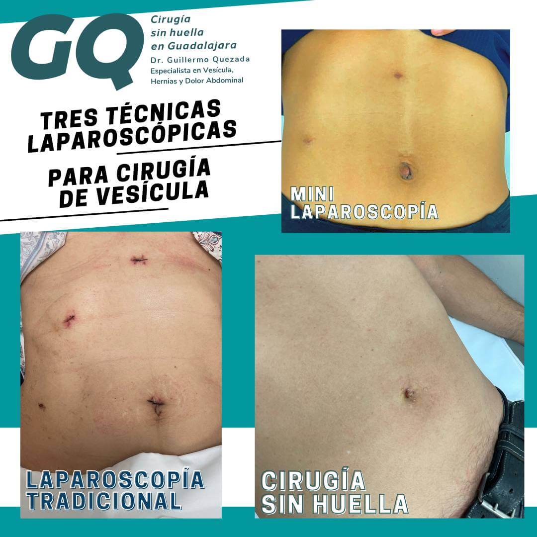 Dr. Guillermo Quezada Navarro